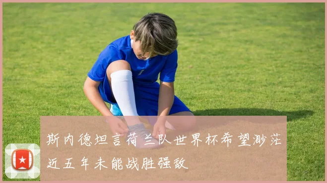 斯内德坦言荷兰队世界杯希望渺茫近五年未能战胜强敌