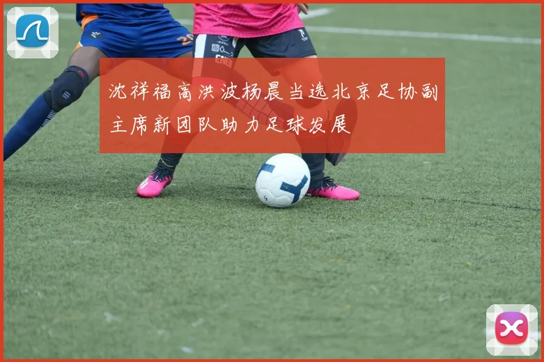 沈祥福高洪波杨晨当选北京足协副主席新团队助力足球发展